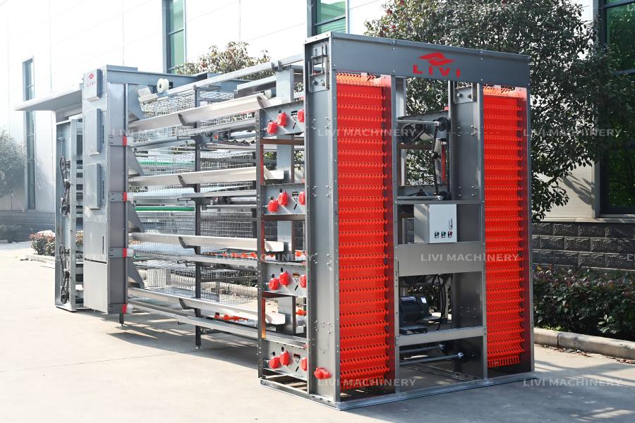 Automatic egg collection equipment: confirm transfer interfaces during planning.