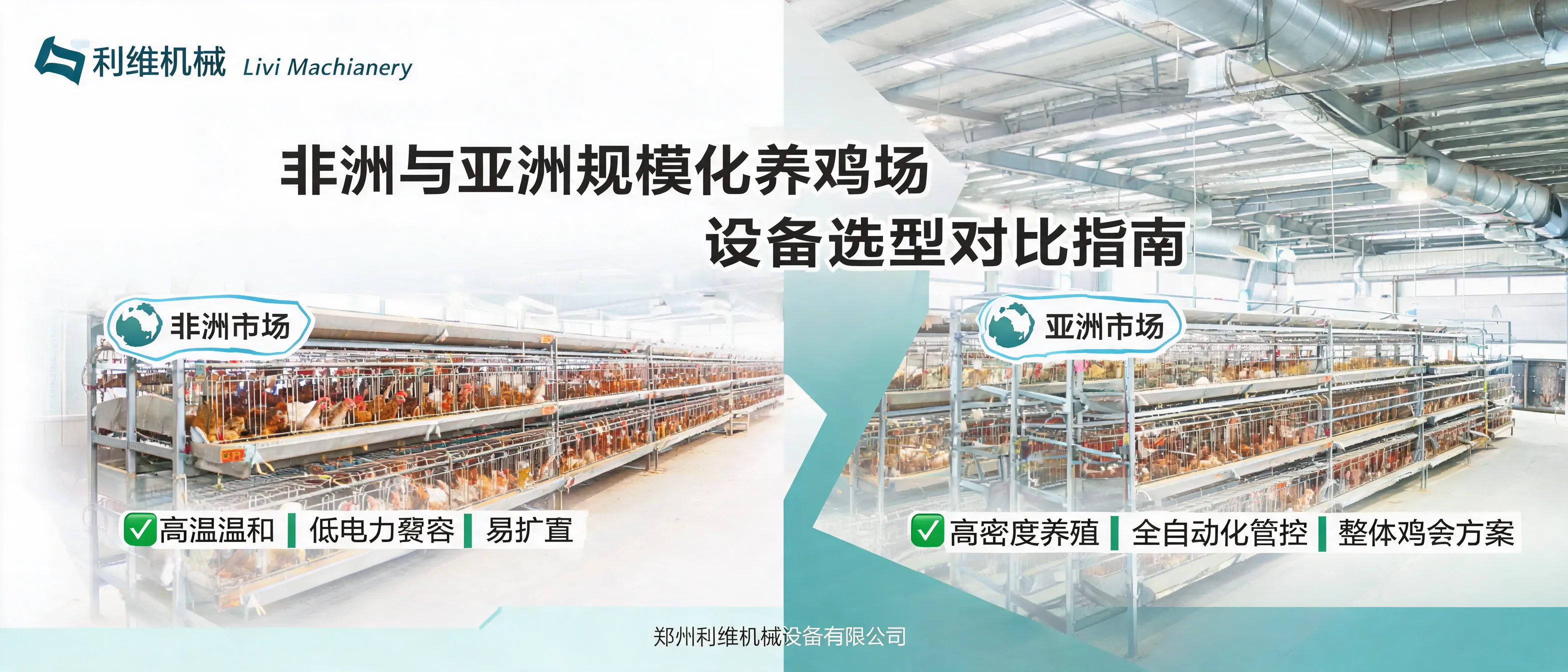 非洲与亚洲规模化养鸡场设备选型对比示意图：自动化笼养系统与鸡舍整体方案要点