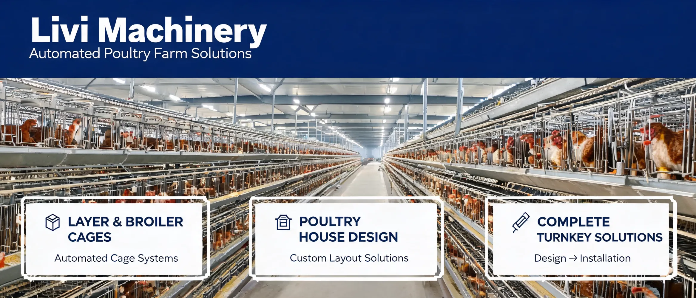 https://shmuker.oss-accelerate.aliyuncs.com/data/oss/681c58426f30b445a9ac020d/681c58426f30b445a9ac0213/ARTICLEautomated-poultry-farm-equipment-complete-poultry-house-solution.jpg