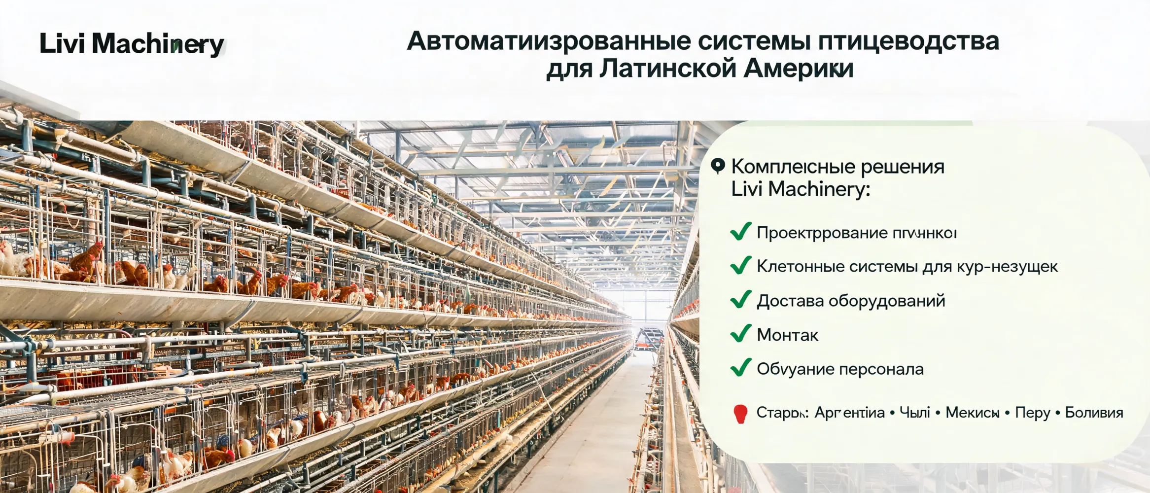 https://shmuker.oss-accelerate.aliyuncs.com/data/oss/681c58426f30b445a9ac020d/681c58426f30b445a9ac0213/ARTICLEautomated-poultry-farm-solutions-latin-america.png