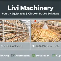 https://shmuker.oss-accelerate.aliyuncs.com/data/oss/681c58426f30b445a9ac020d/681c58426f30b445a9ac0213/ARTICLEautomatic-poultry-equipment-chicken-house-solutions.png