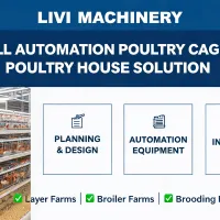 https://shmuker.oss-accelerate.aliyuncs.com/data/oss/681c58426f30b445a9ac020d/681c58426f30b445a9ac0213/ARTICLEfull-automation-poultry-cage-poultry-house-solution.jpg