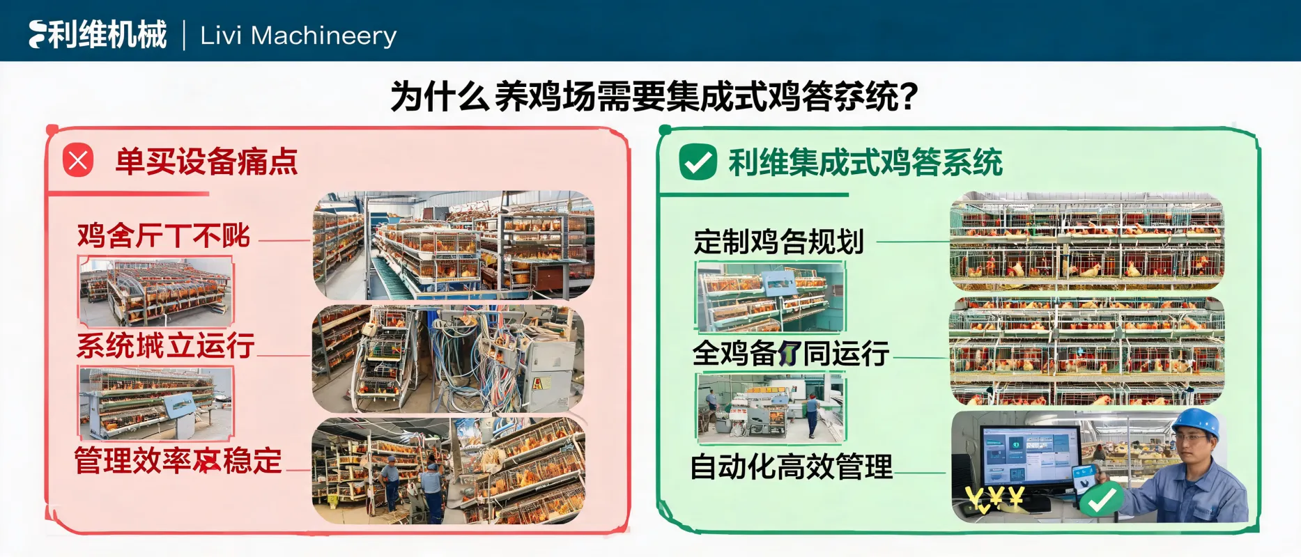 文章配图_1784273537328.jpg