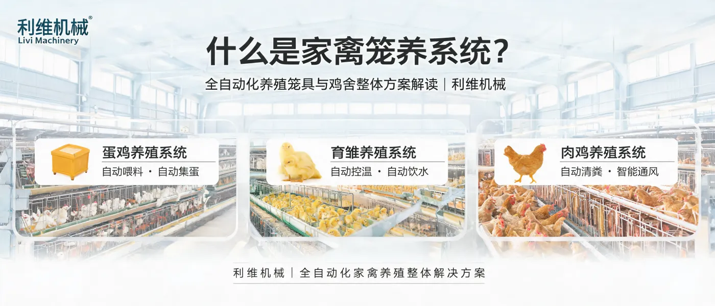 https://shmuker.oss-accelerate.aliyuncs.com/data/oss/681c58426f30b445a9ac020d/681c58426f30b445a9ac0213/ARTICLEpoultry-cage-system-full-automation-chicken-house-solution-livi-machinery.jpg