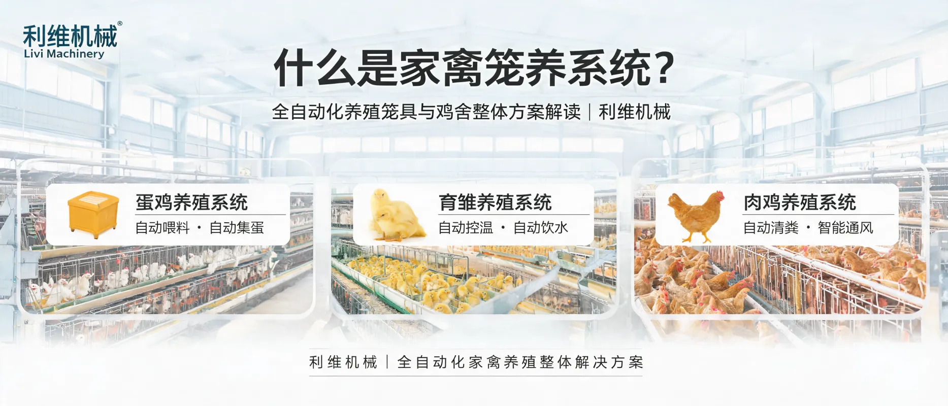 文章配图_1784271118764.jpg