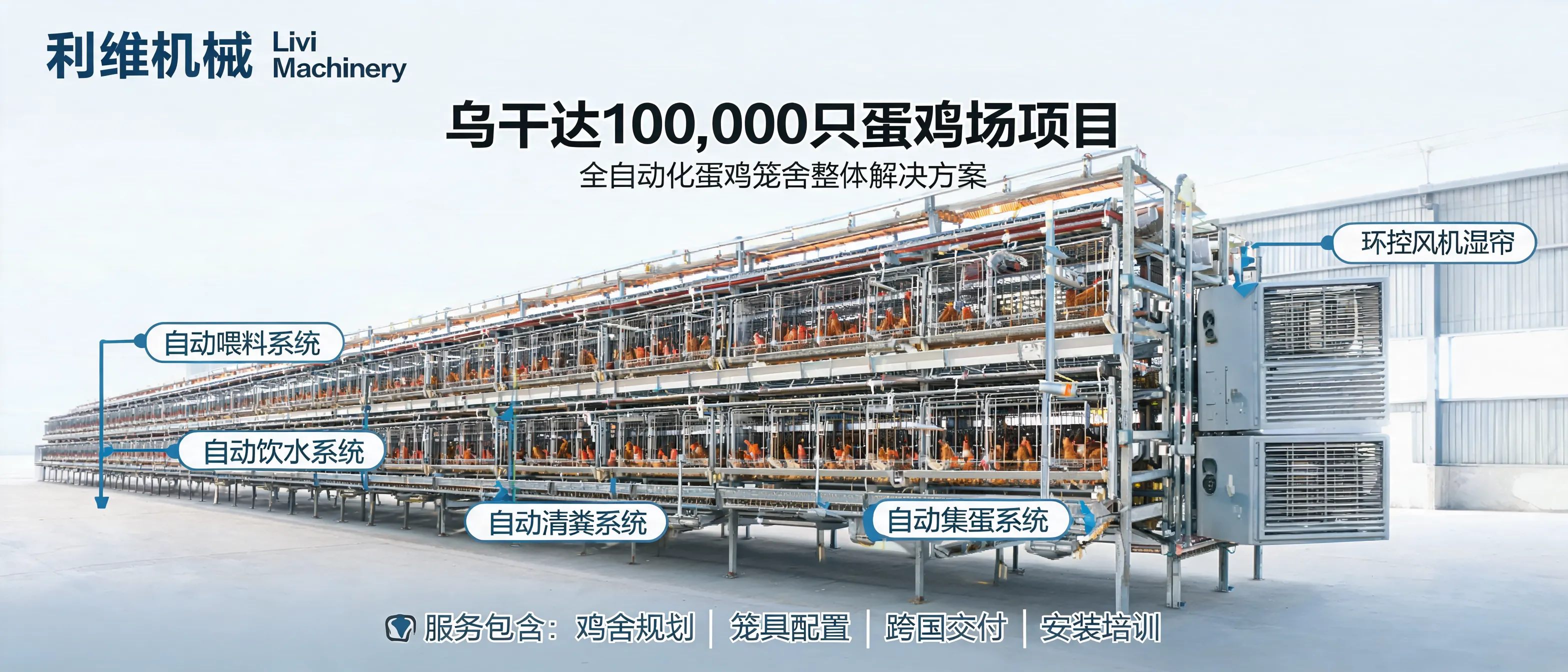 Automatic manure removal module for an H-type layer cage system used in large-scale poultry farm solutions