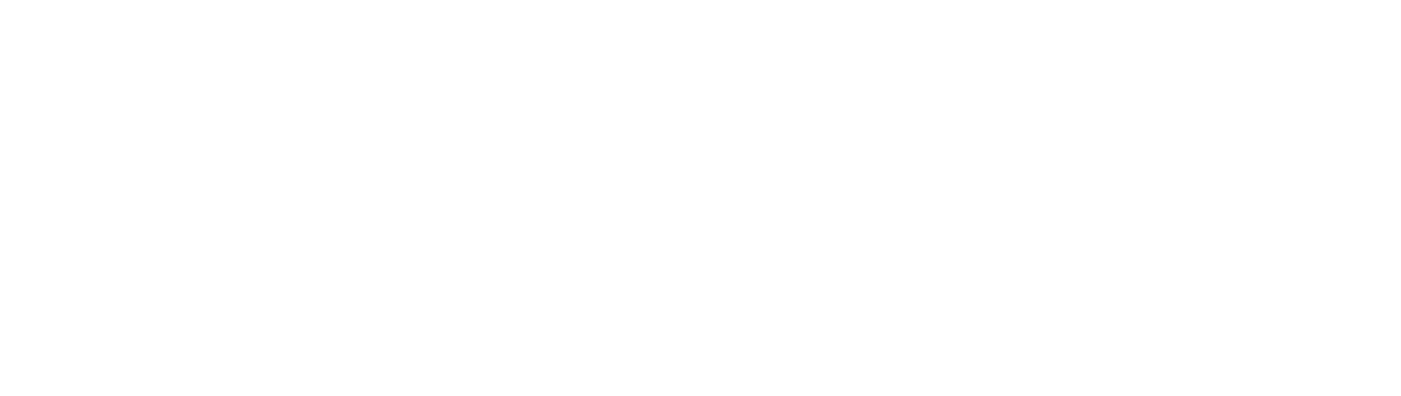 QIE GROUP