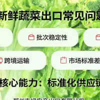 配图_1781384156634.jpg