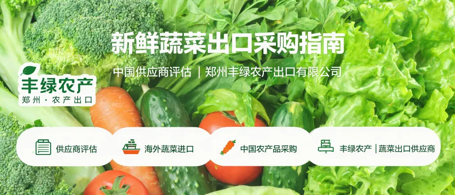 新鲜蔬菜出口采购指南页面封面，展示中国蔬菜供应商评估与出口采购场景