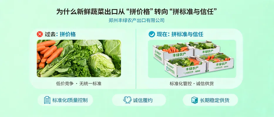 封面图：新鲜蔬菜与质量检测场景，体现标准化供应链与诚信履约 — 郑州丰绿农产出口有限公司