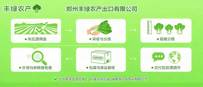 文章配图_1784597494155.jpg