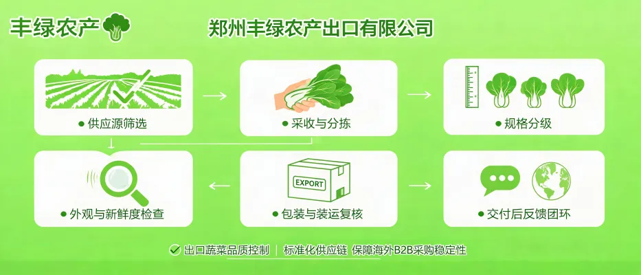Inspection et emballage de légumes frais par Zhengzhou Fenglu avant expédition