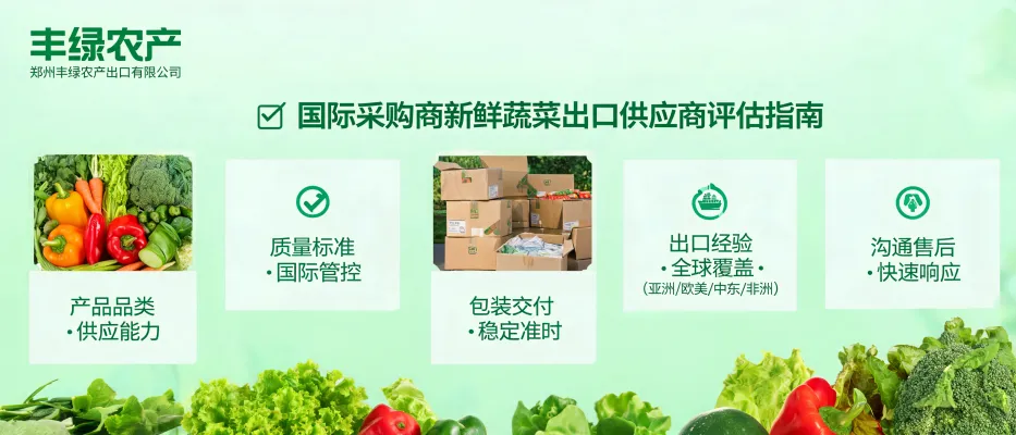 International buyer reviewing fresh vegetable export supplier evaluation criteria for quality, packaging, delivery, and bulk supply