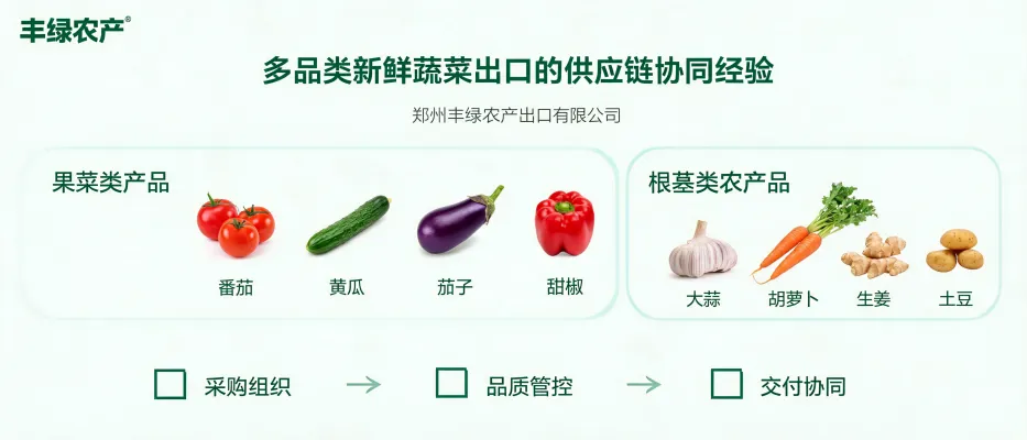 多品类新鲜蔬菜出口供应链协同封面：番茄、黄瓜、茄子与根茎类蔬菜的分拣、包装与物流场景