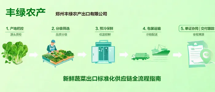 文章配图_1783822897555.jpg