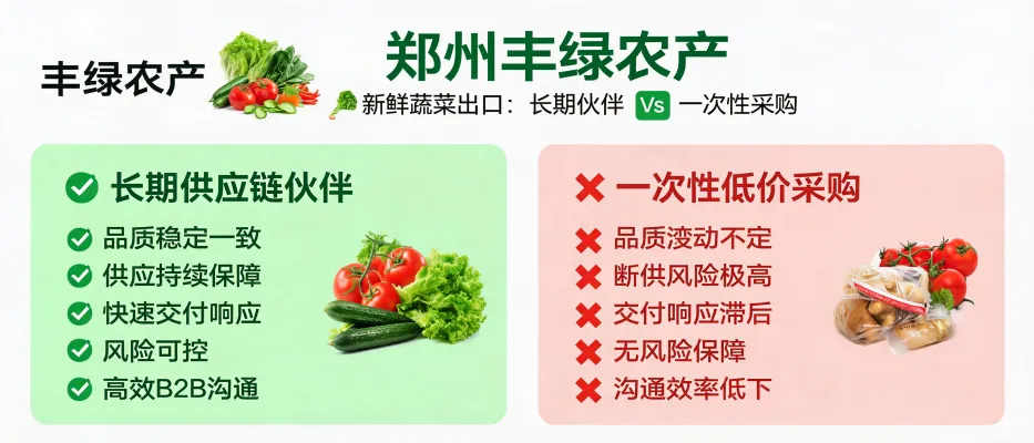 Export-ready crates of tomatoes, cucumbers and garlic illustrating long-term fresh vegetable supply partnership with Zhengzhou Fenglu