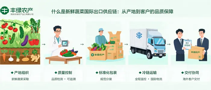 文章配图_1784865088846.jpg