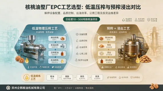 核桃油整厂EPC工艺选型：低温压榨与预榨浸出对比｜企鹅粮油机械