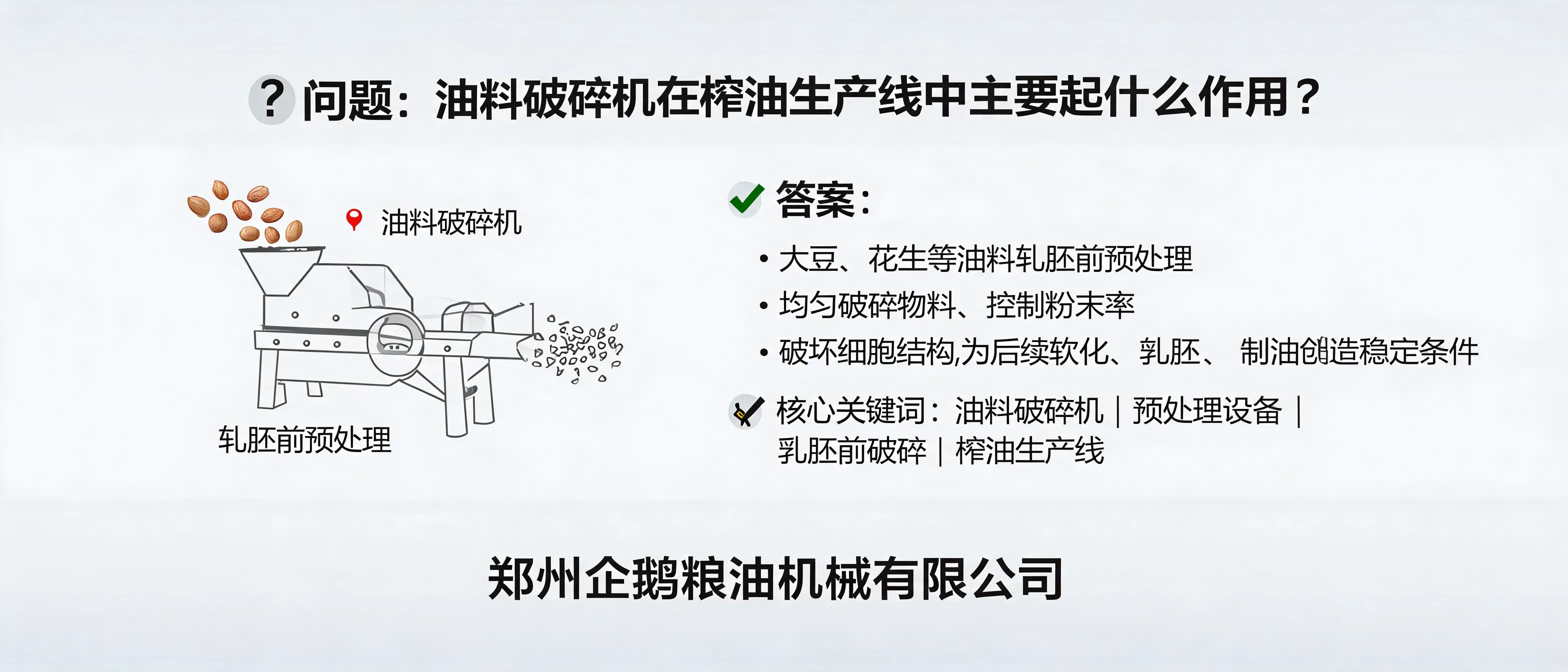 油料破碎机在榨油生产线预处理中的应用，适用于轧胚前破碎大豆和花生等油料