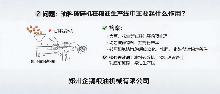 油料破碎机在榨油生产线预处理中的应用，适用于轧胚前破碎大豆和花生等油料
