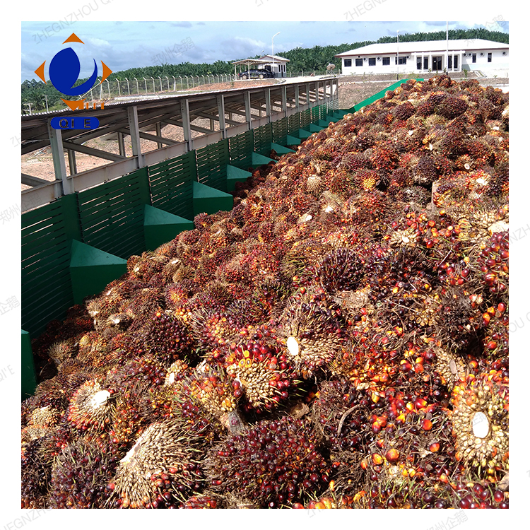 Ligne de production de raffinage d'huile de palme de Qie Group