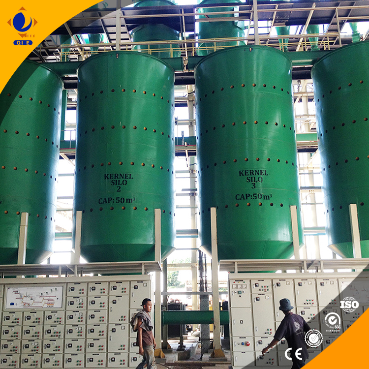 Máquina de Procesamiento de Aceite de Palma