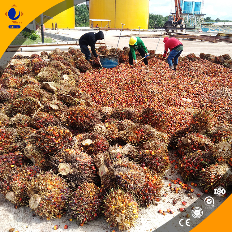 304 stainless steel palm oil pressing equipment