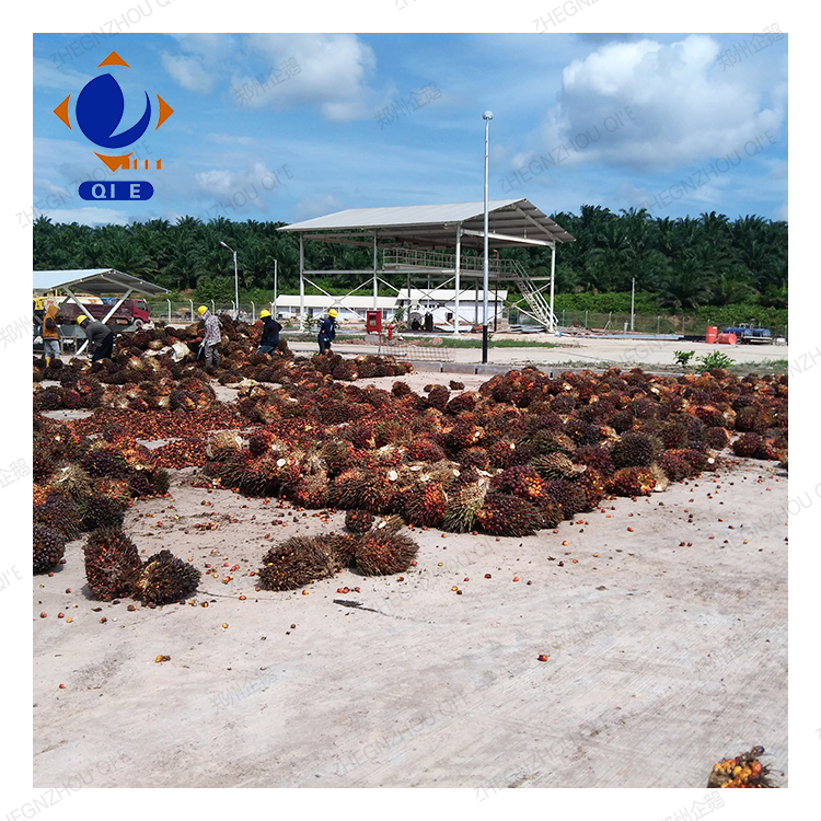 ISO 9001 certified palm oil processing machines ensuring global quality standards