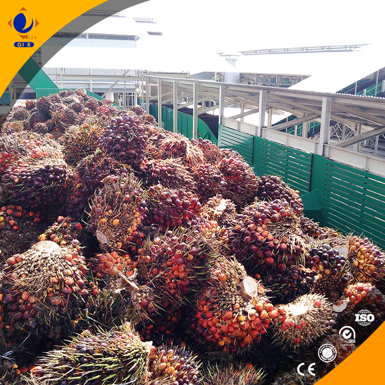 Customer support team providing remote assistance to palm oil refining plant operators