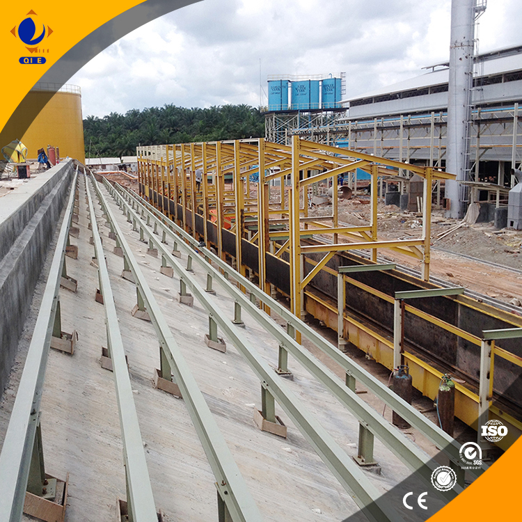 Sesame oil production line equipment layout