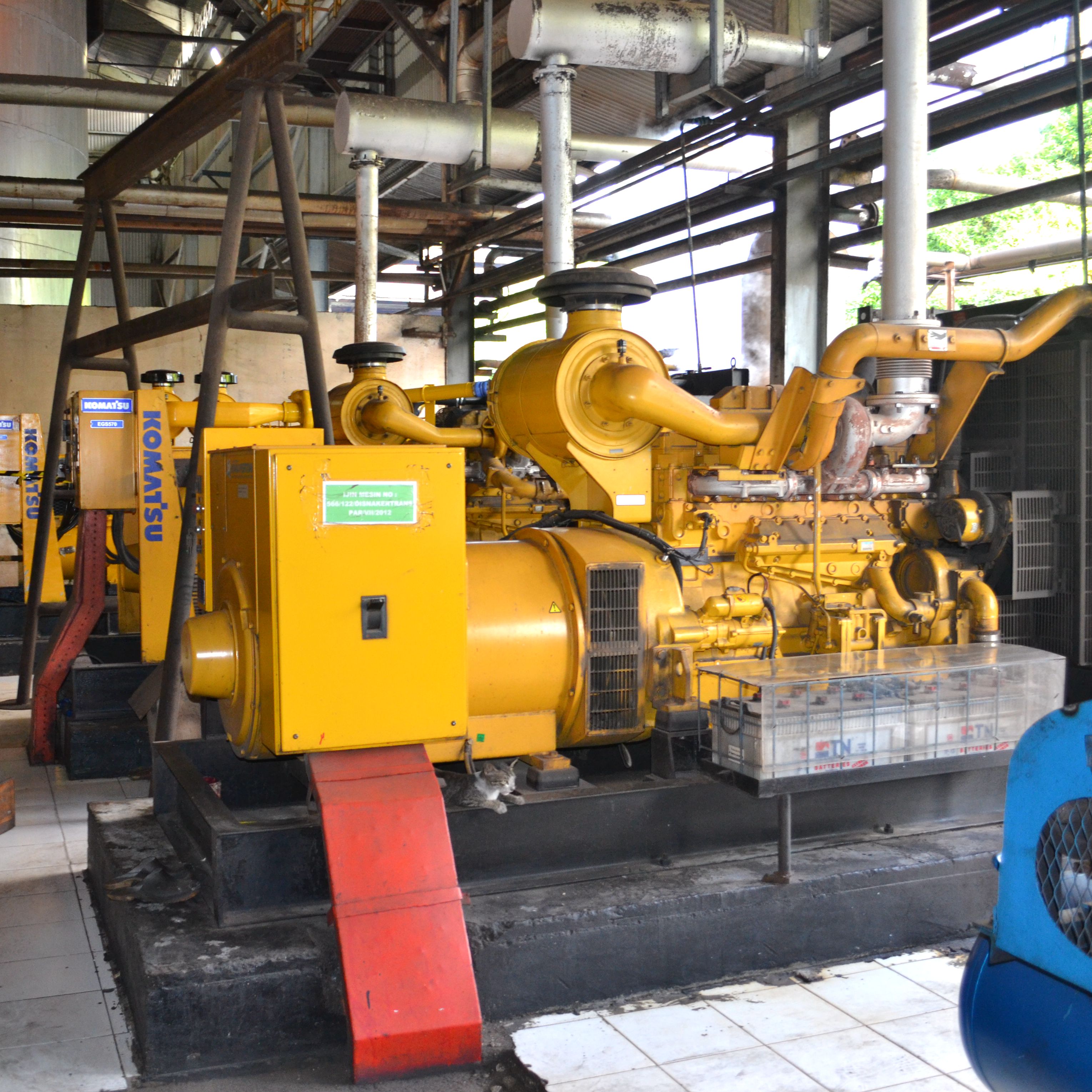 High-capacity red palm oil processing line showcasing automated cleaning and pressing stages