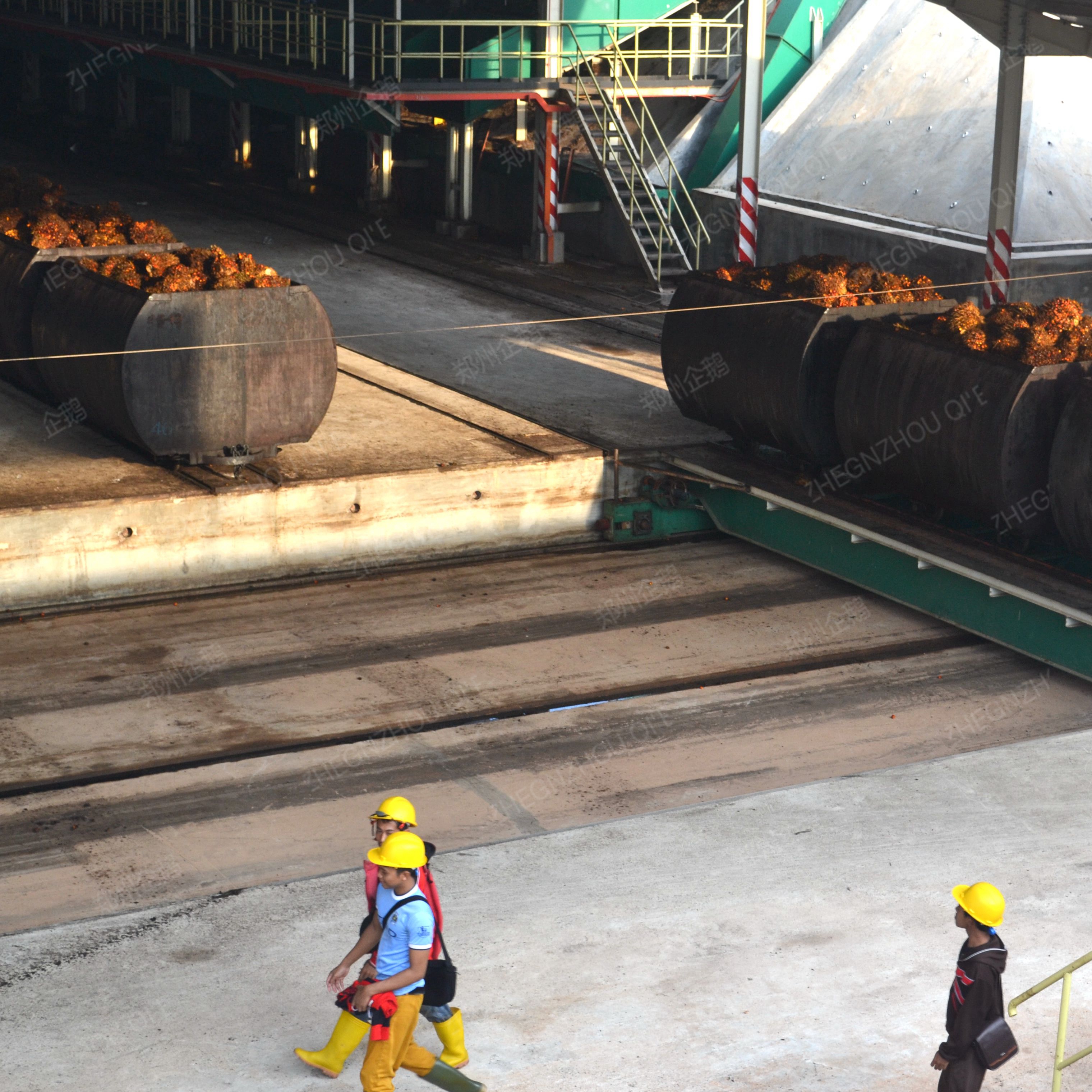 Comparison of successful and failed cases in sesame oil production hygiene management