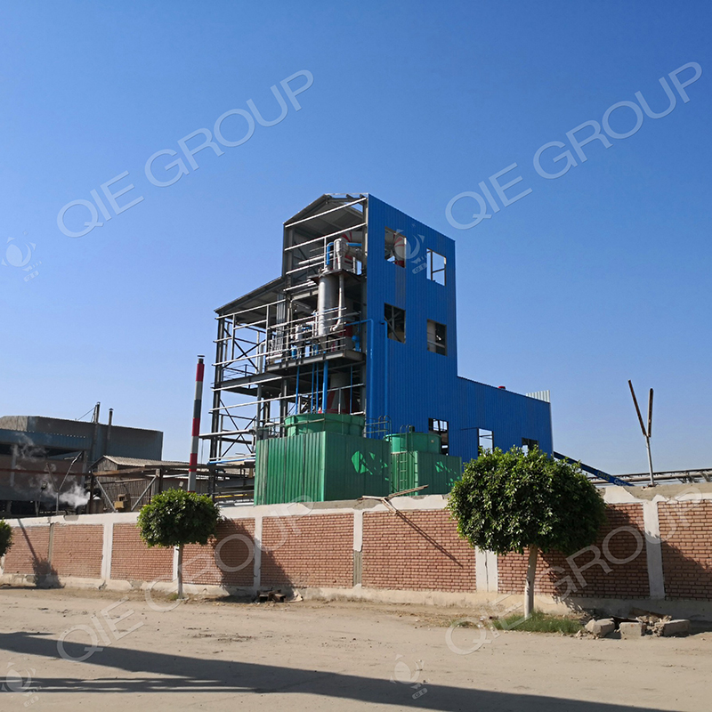 Penguin Group's energy-saving PLC palm oil press machine processing palm fruit clusters with stainless steel structure