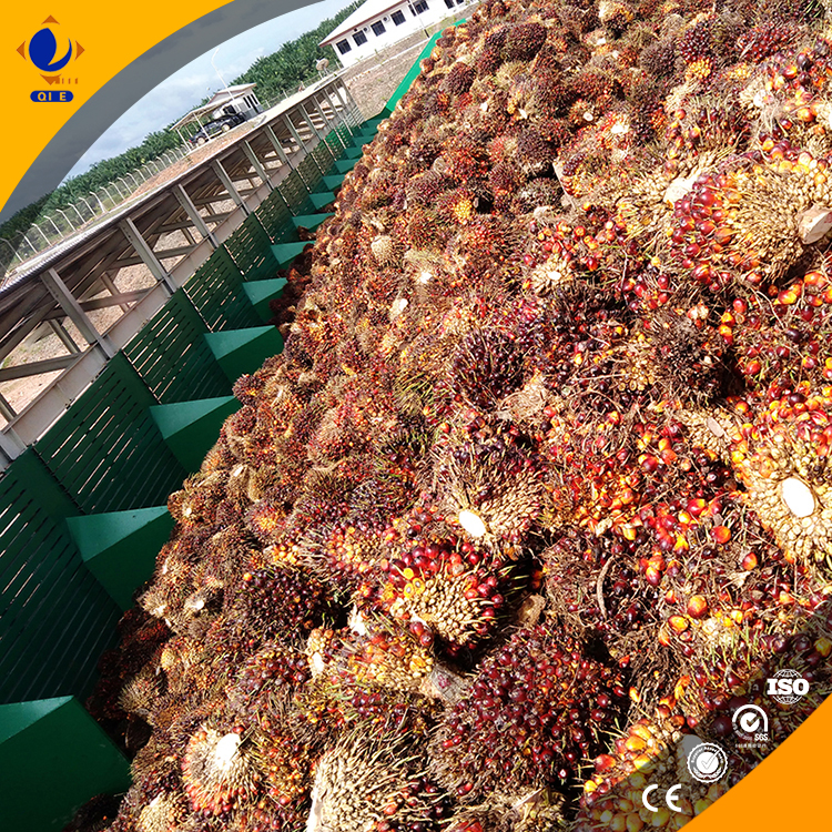 Penguin Group's palm oil processing equipment made of food - grade stainless steel