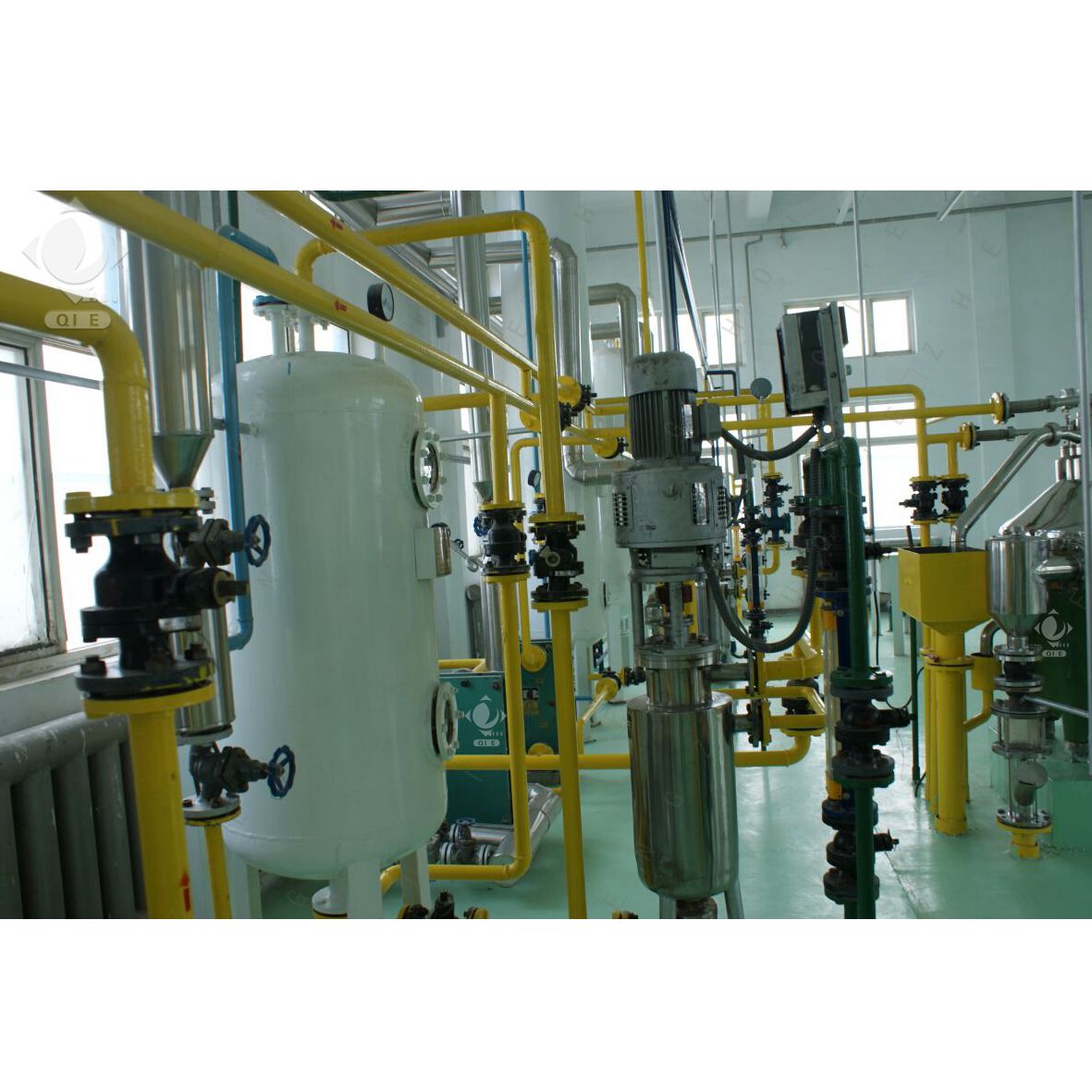 Small-scale sunflower seed press illustrating clean oil extraction process