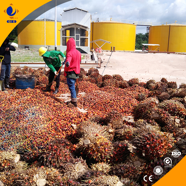 Penguin Group's palm kernel oil production line