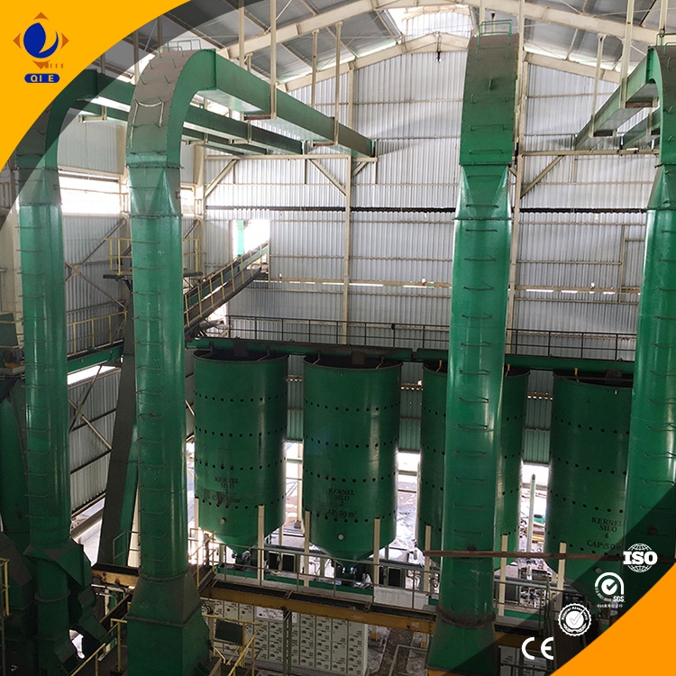 Energy-efficient oil press equipment with advanced smart temperature and heat recovery system illustration