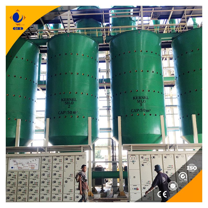 Vista detallada del equipo inteligente para extracción de aceite de semilla de girasol mostrando materiales de alta resistencia