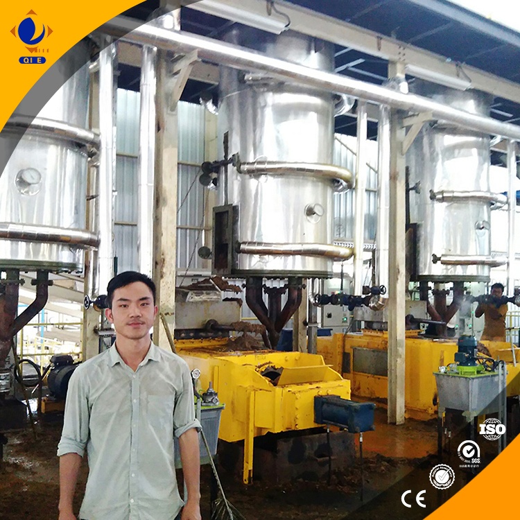 A clean, modern cold-press sunflower oil production line with stainless steel equipment and trained operators.