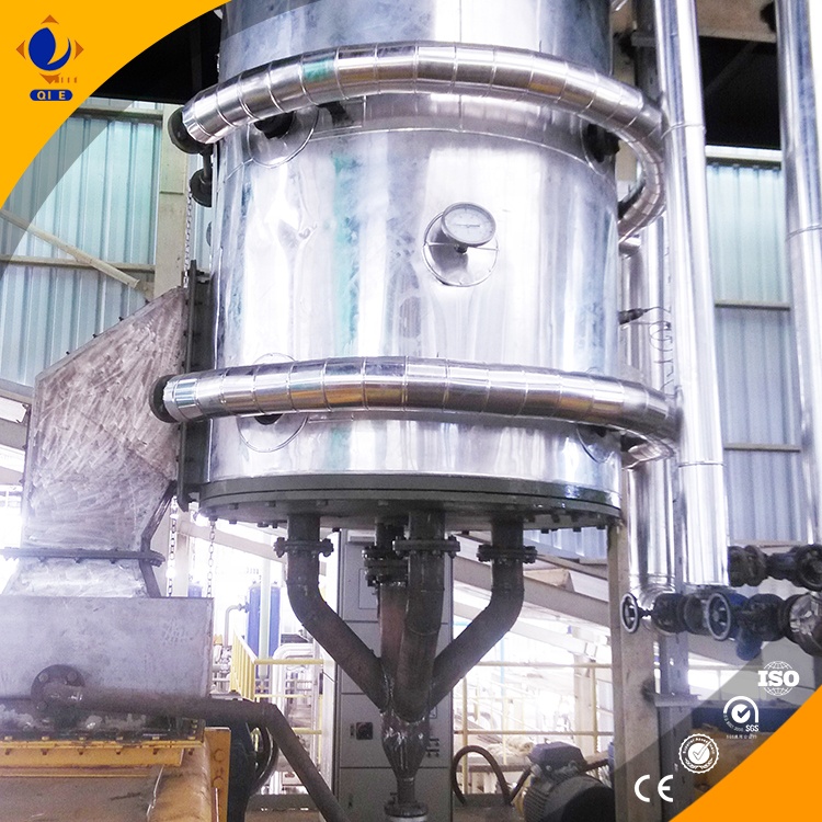 Technician providing professional support for sunflower seed oil press operation