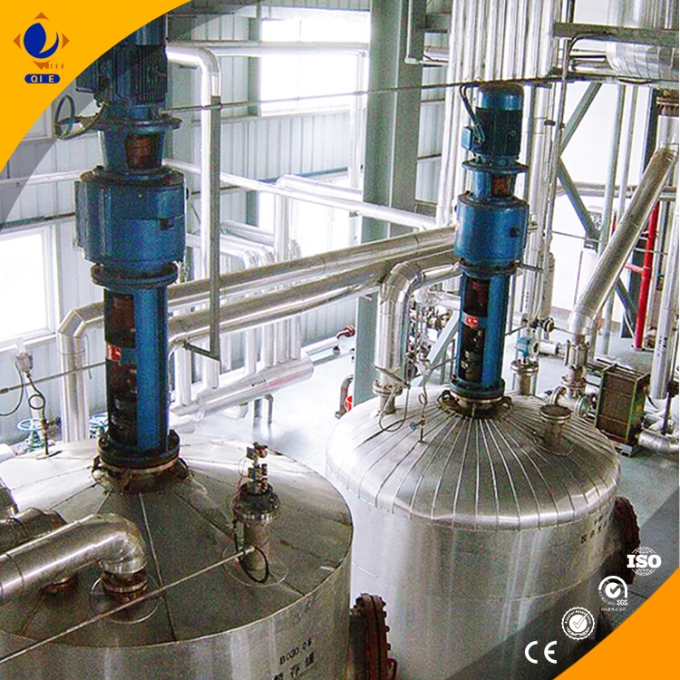 Machine de mouture d'huile de tournesol en acier inoxydable en fonctionnement