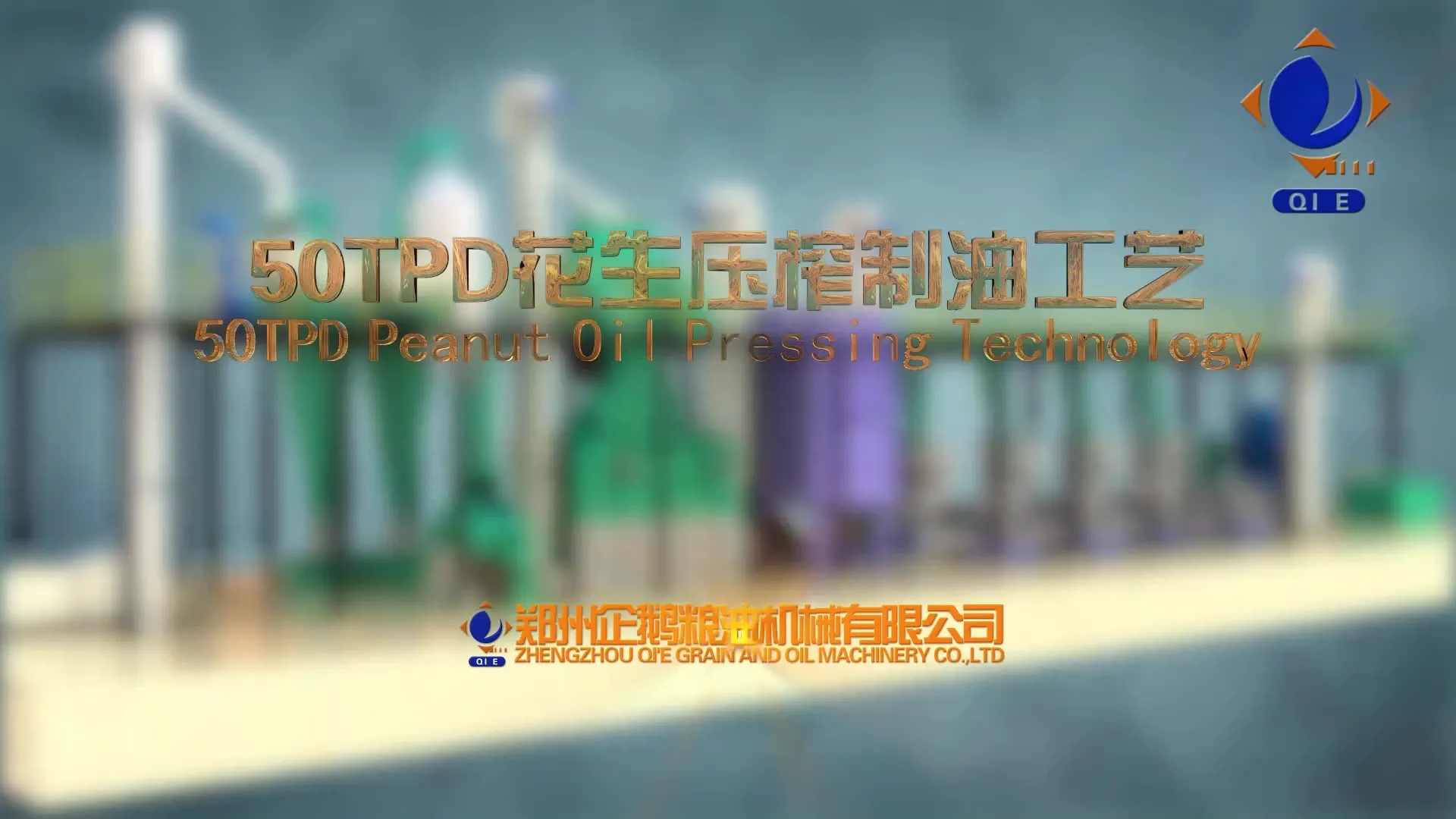 مراحل معالجة الحبوب الخام لزيت فول الصنوبر النباتي