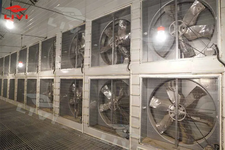 Equipos automáticos para la avicultura