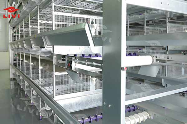 H-type layer cage structure showing stacked tiers and access aisles for automated feeding and egg collection