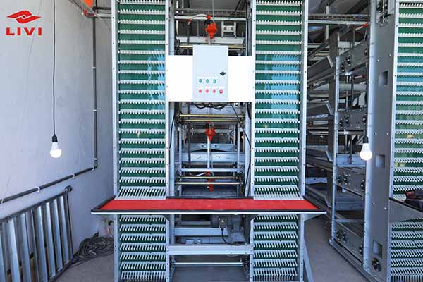 Zhengzhou Liwei Machinery’s H-Type Layered Egg-laying Chicken Cage with automated systems