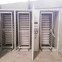https://shmuker.oss-accelerate.aliyuncs.com/data/oss/common/20250513160300/20250513/cfb734bdc697e004ff0d670b92a1d662/large-incubator-2.jpg