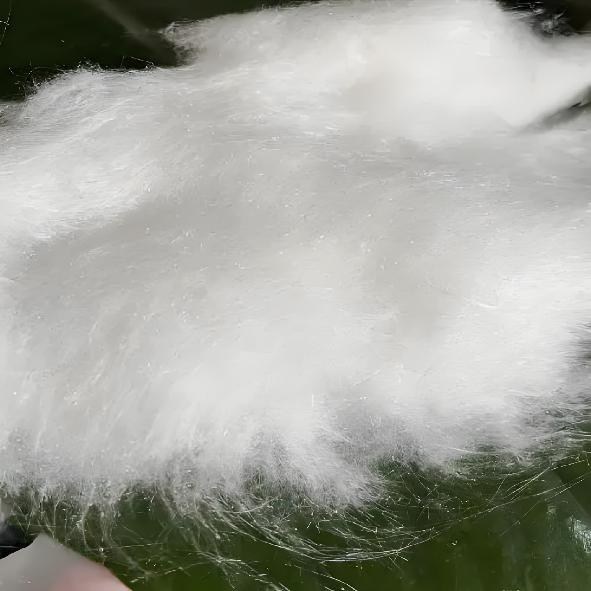 High Temperature Kiln Ceramic Fiber Chopped Cotton-3